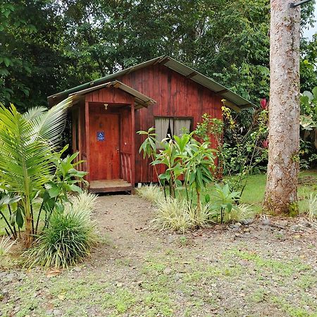 Citronela Lodge Corcovado Drake Bay Ngoại thất bức ảnh