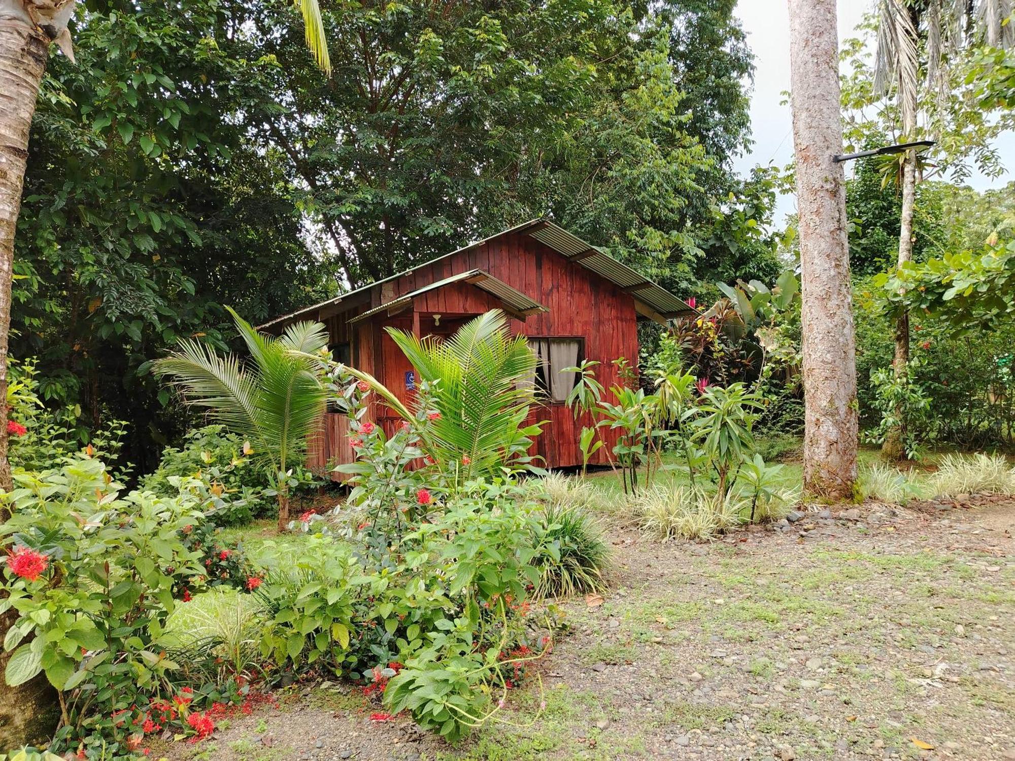 Citronela Lodge Corcovado Drake Bay Ngoại thất bức ảnh