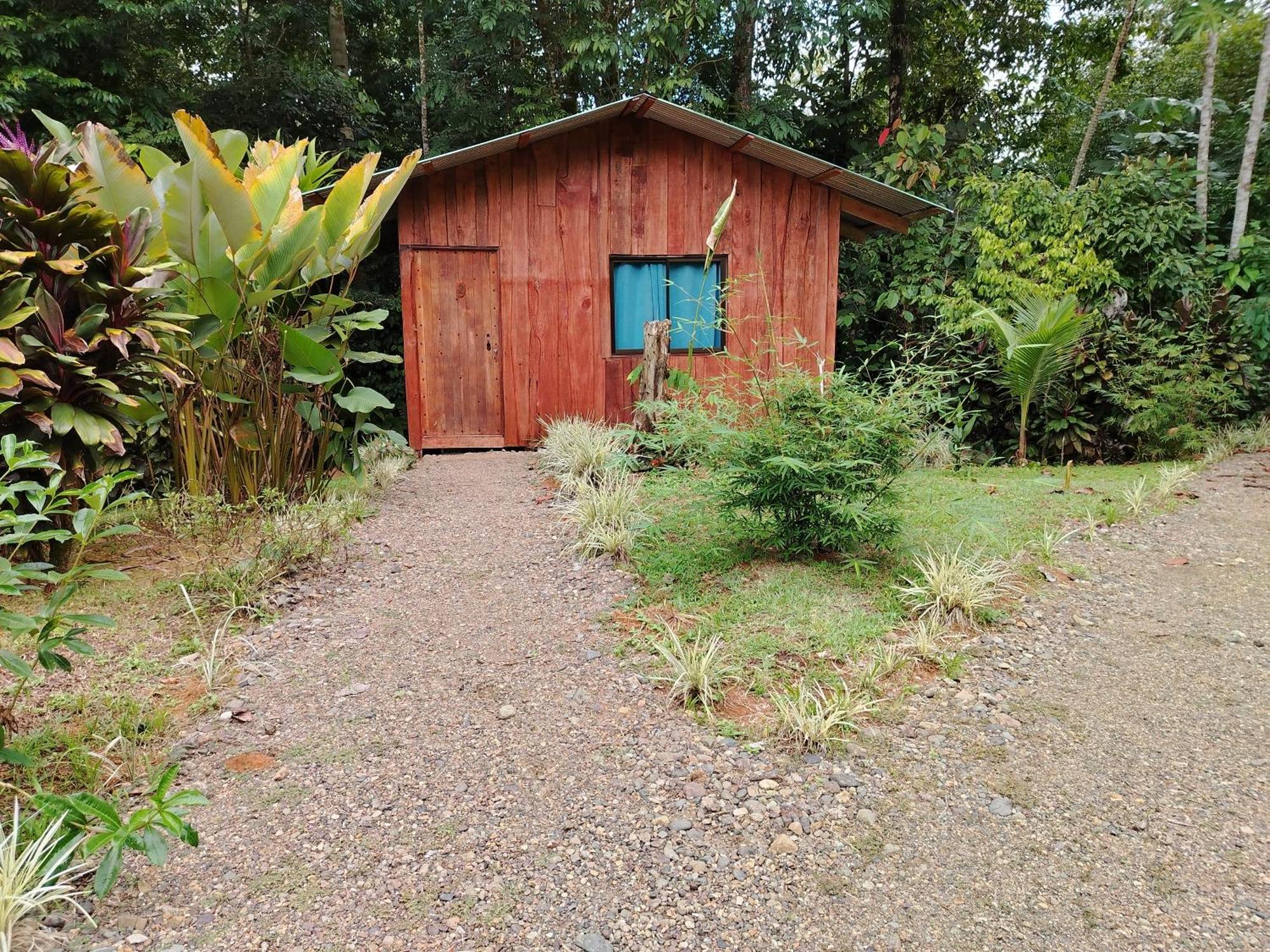 Citronela Lodge Corcovado Drake Bay Ngoại thất bức ảnh