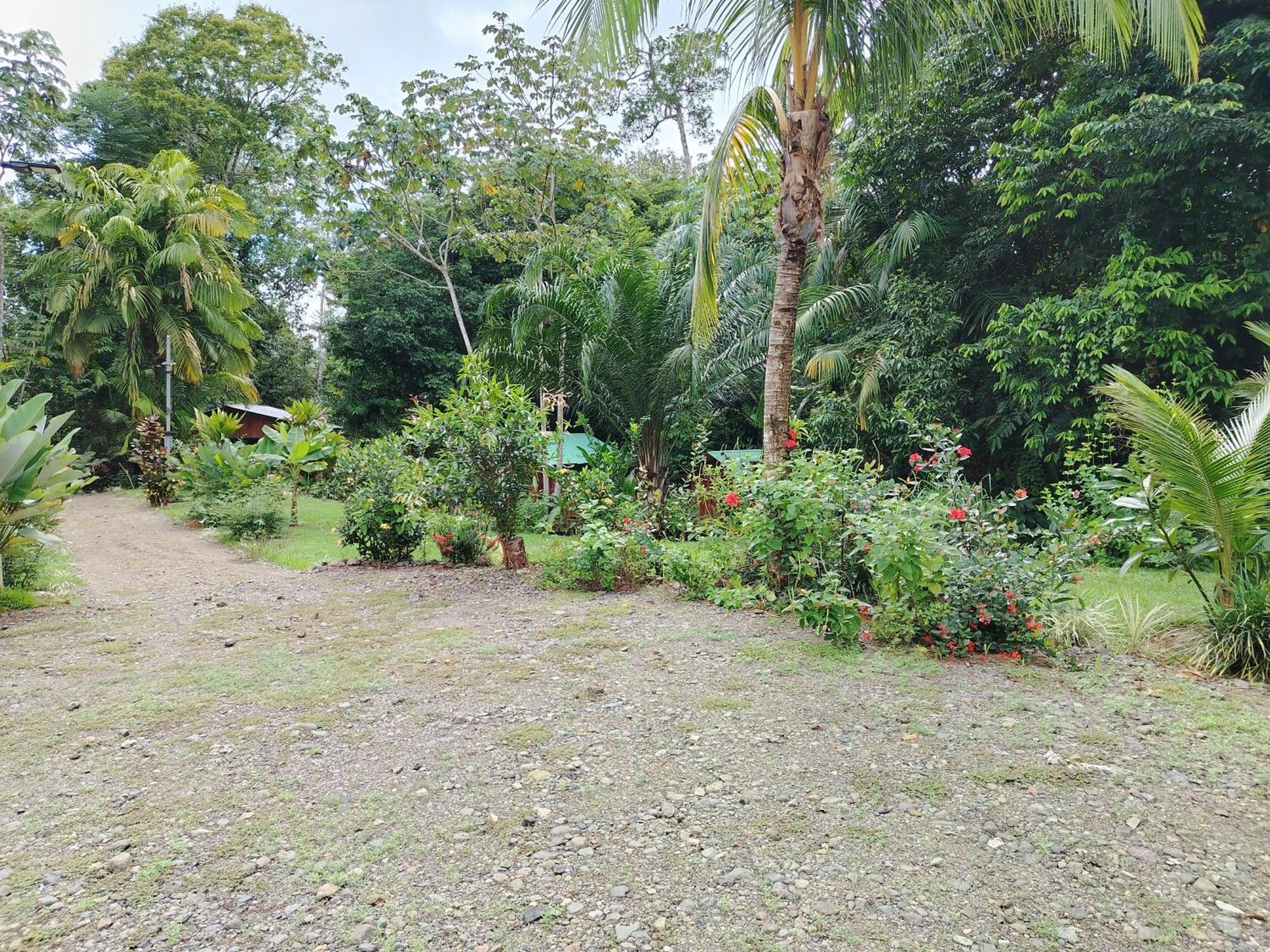 Citronela Lodge Corcovado Drake Bay Ngoại thất bức ảnh