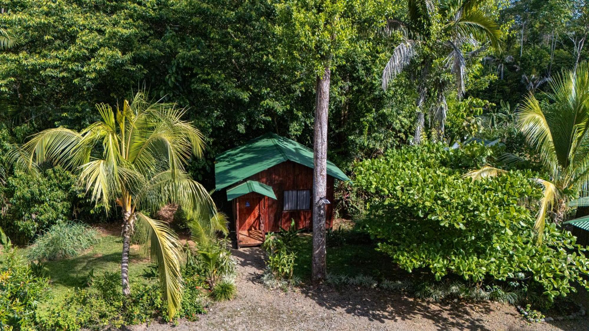 Citronela Lodge Corcovado Drake Bay Ngoại thất bức ảnh