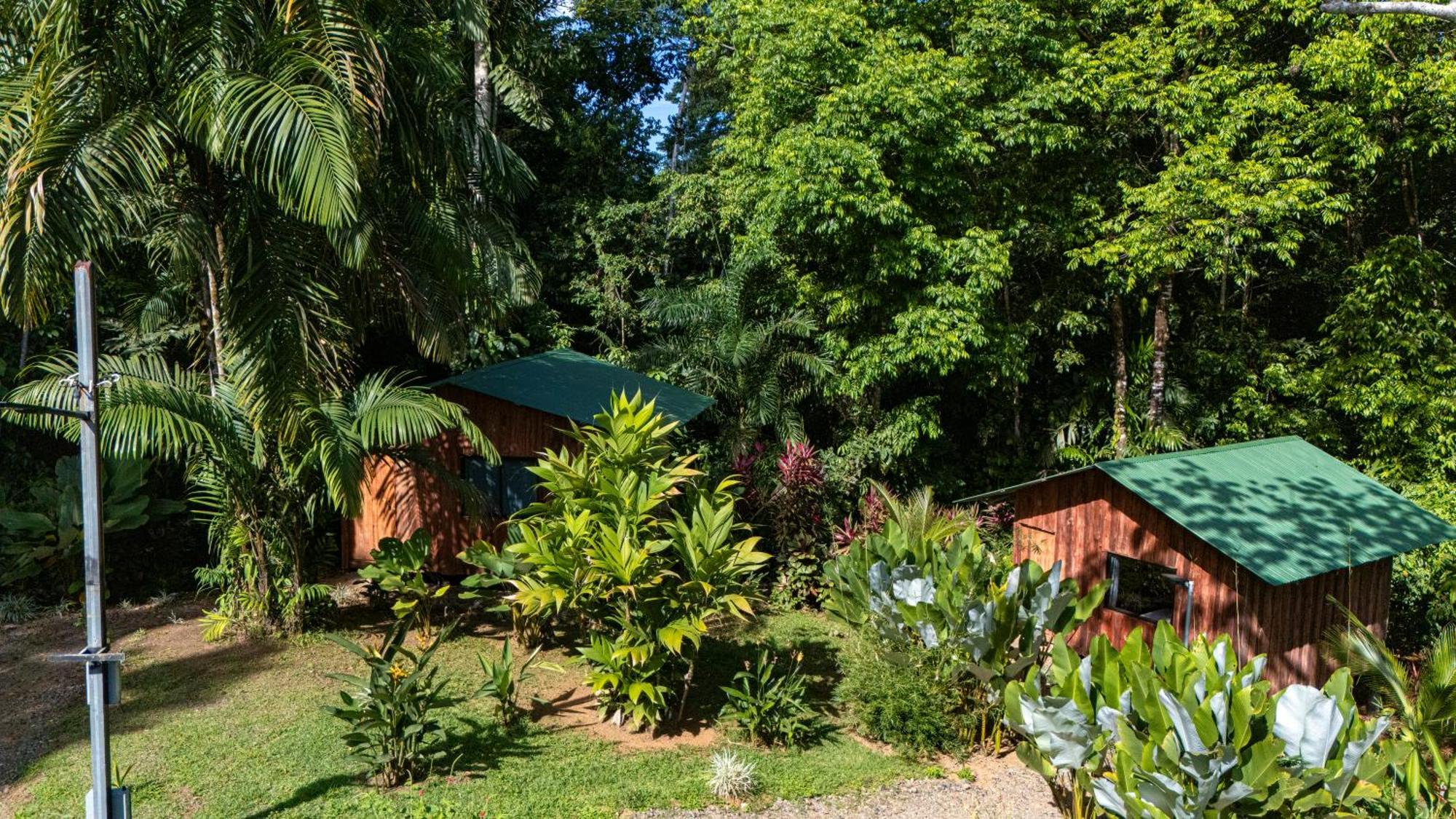 Citronela Lodge Corcovado Drake Bay Ngoại thất bức ảnh