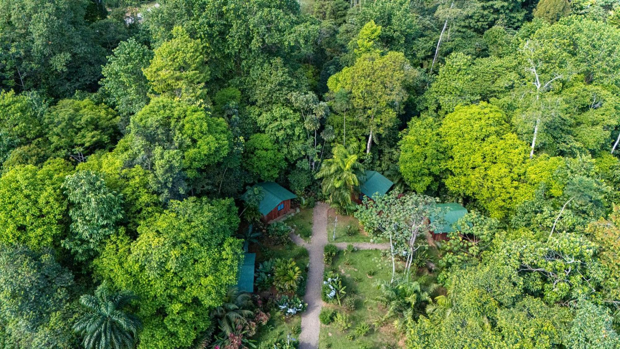 Citronela Lodge Corcovado Drake Bay Ngoại thất bức ảnh