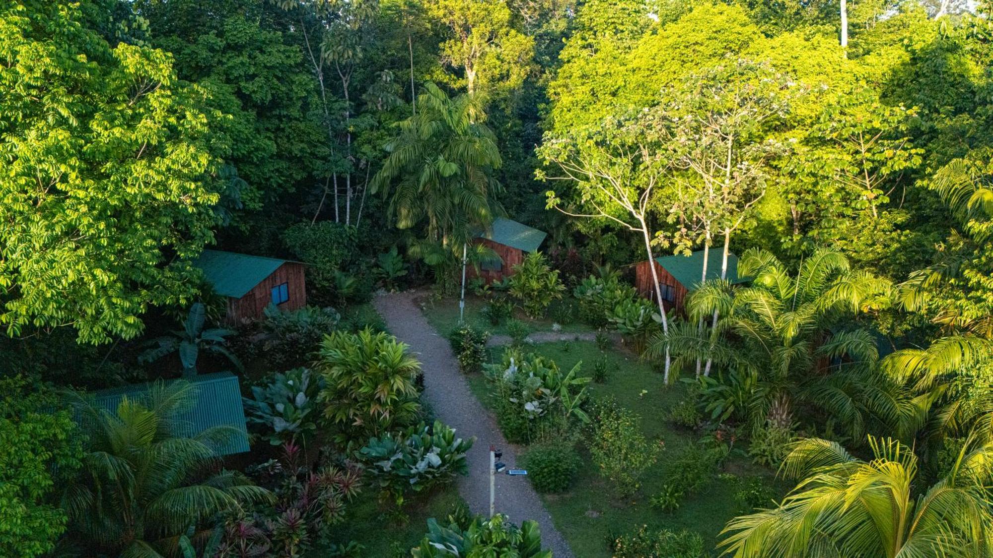 Citronela Lodge Corcovado Drake Bay Ngoại thất bức ảnh