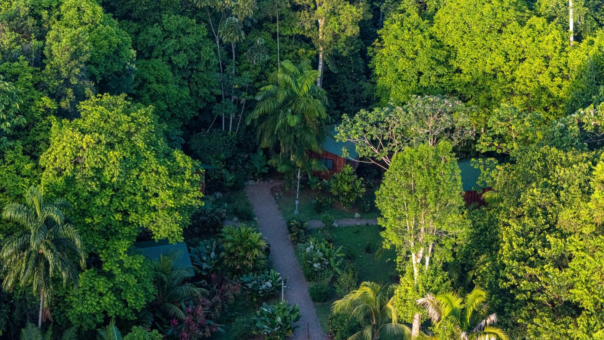 Citronela Lodge Corcovado Drake Bay Ngoại thất bức ảnh