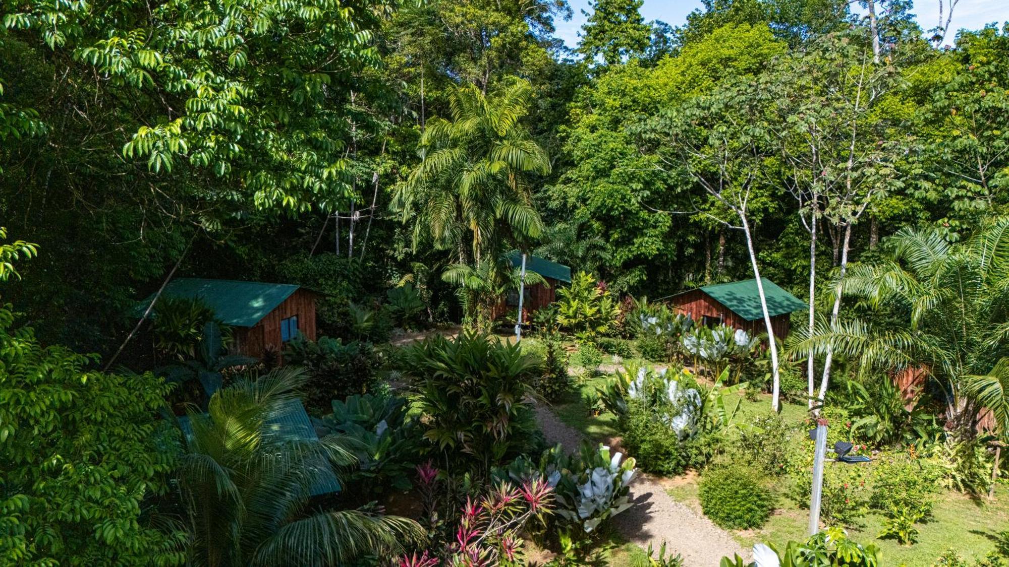 Citronela Lodge Corcovado Drake Bay Ngoại thất bức ảnh