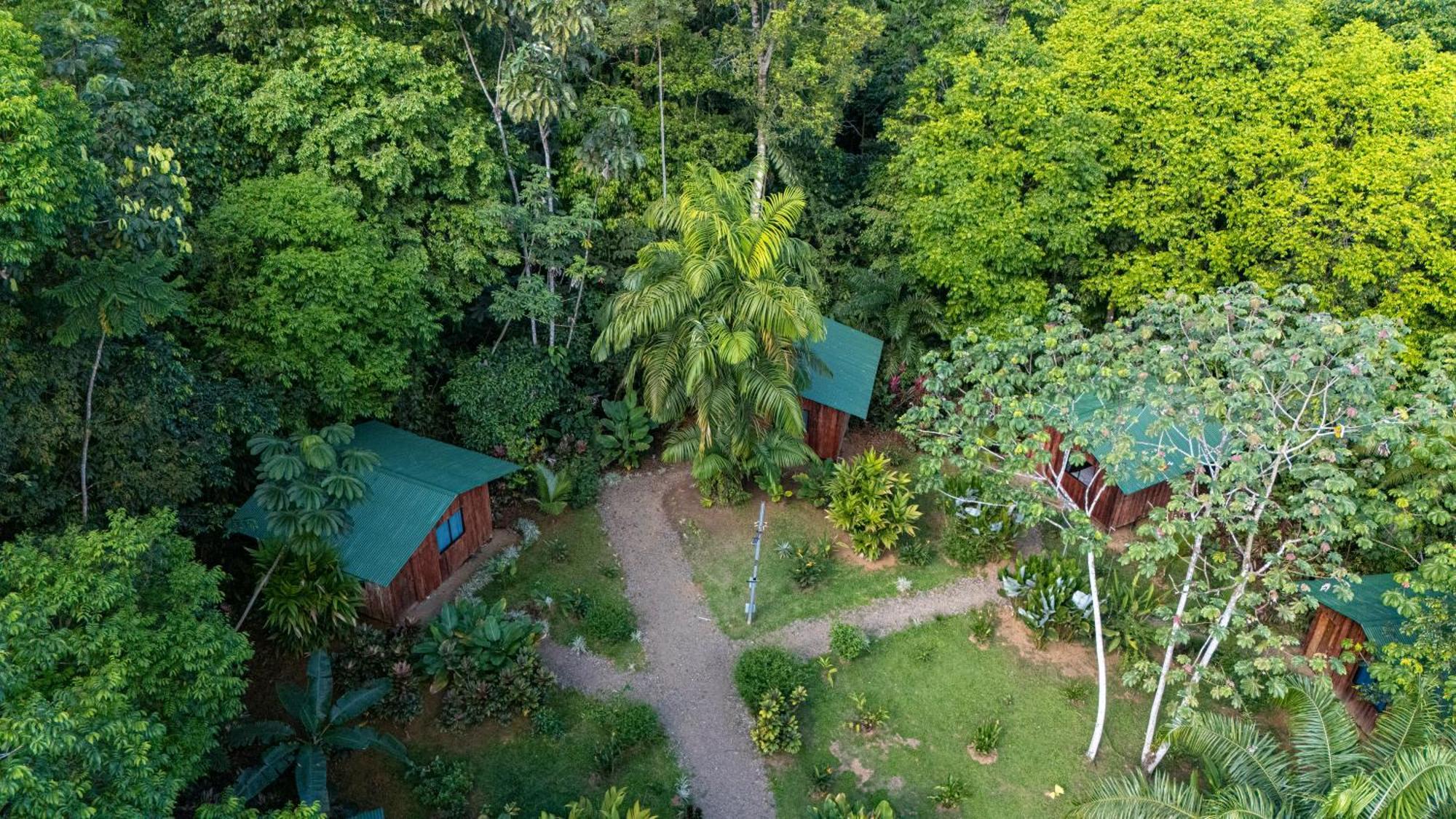 Citronela Lodge Corcovado Drake Bay Ngoại thất bức ảnh