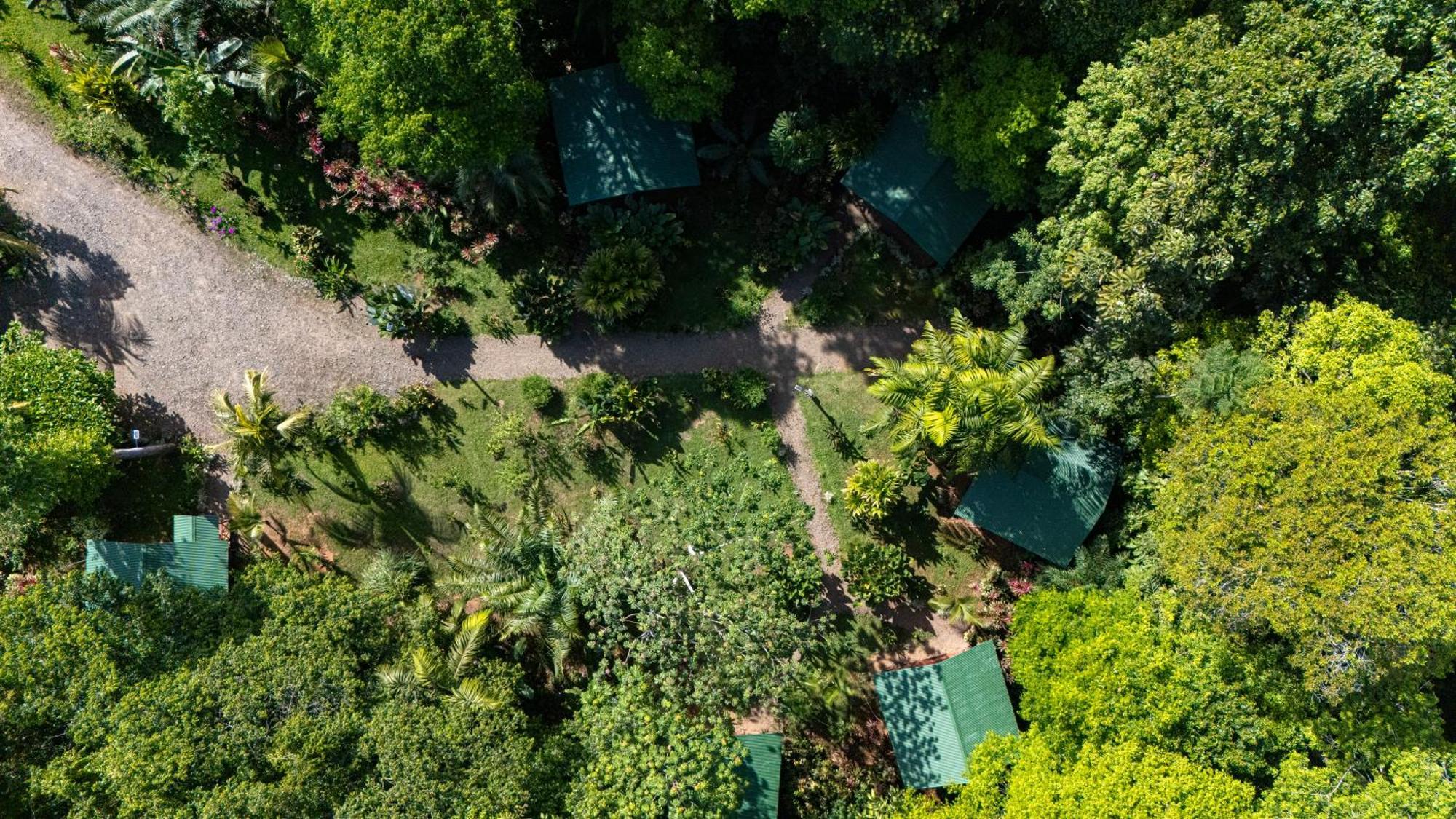 Citronela Lodge Corcovado Drake Bay Ngoại thất bức ảnh
