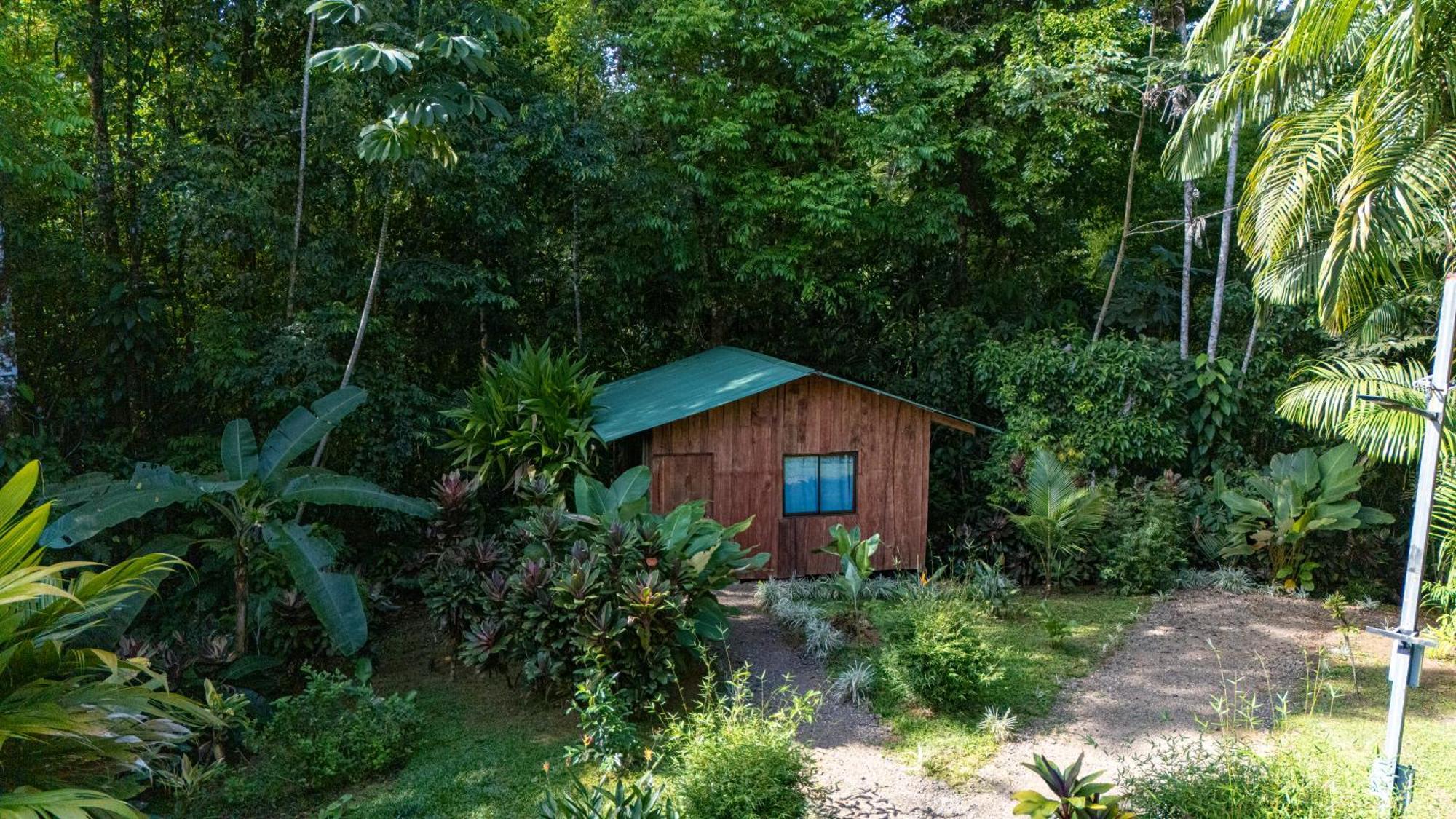Citronela Lodge Corcovado Drake Bay Ngoại thất bức ảnh
