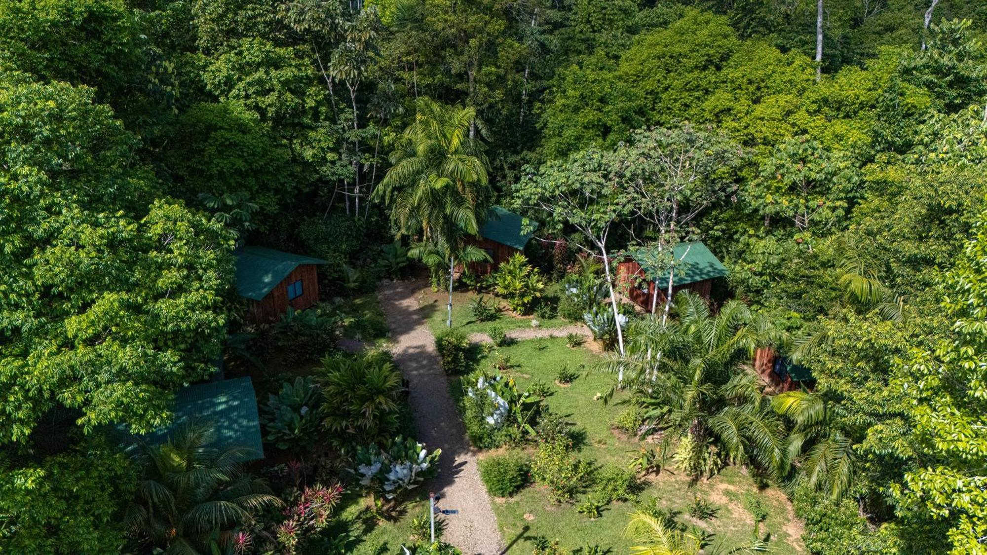 Citronela Lodge Corcovado Drake Bay Ngoại thất bức ảnh