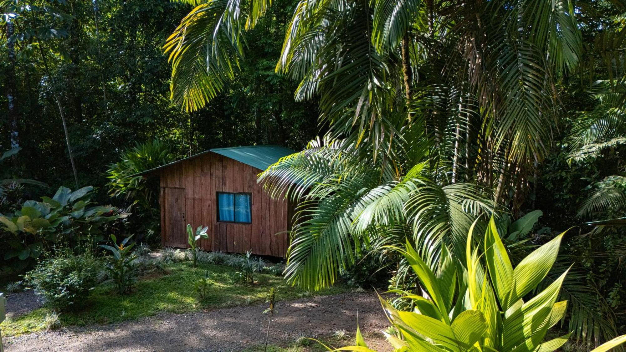 Citronela Lodge Corcovado Drake Bay Ngoại thất bức ảnh