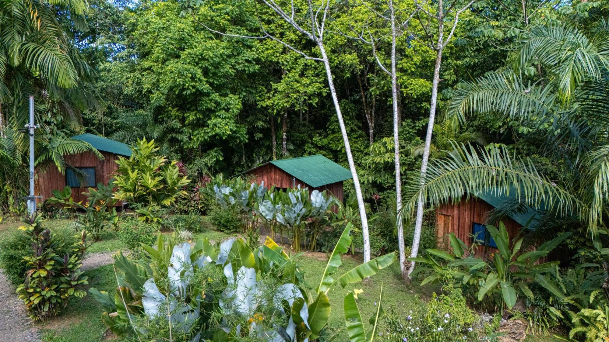 Citronela Lodge Corcovado Drake Bay Ngoại thất bức ảnh