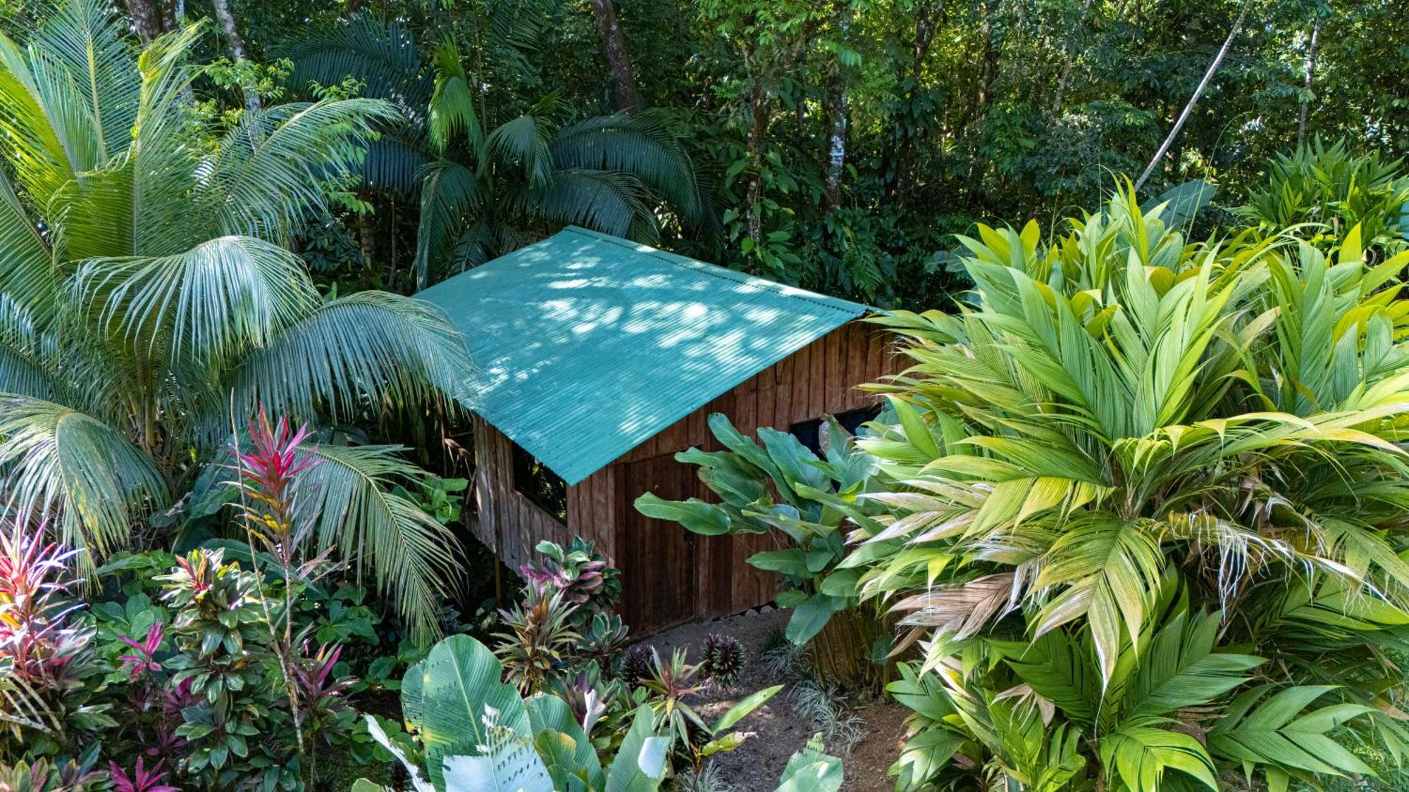 Citronela Lodge Corcovado Drake Bay Ngoại thất bức ảnh