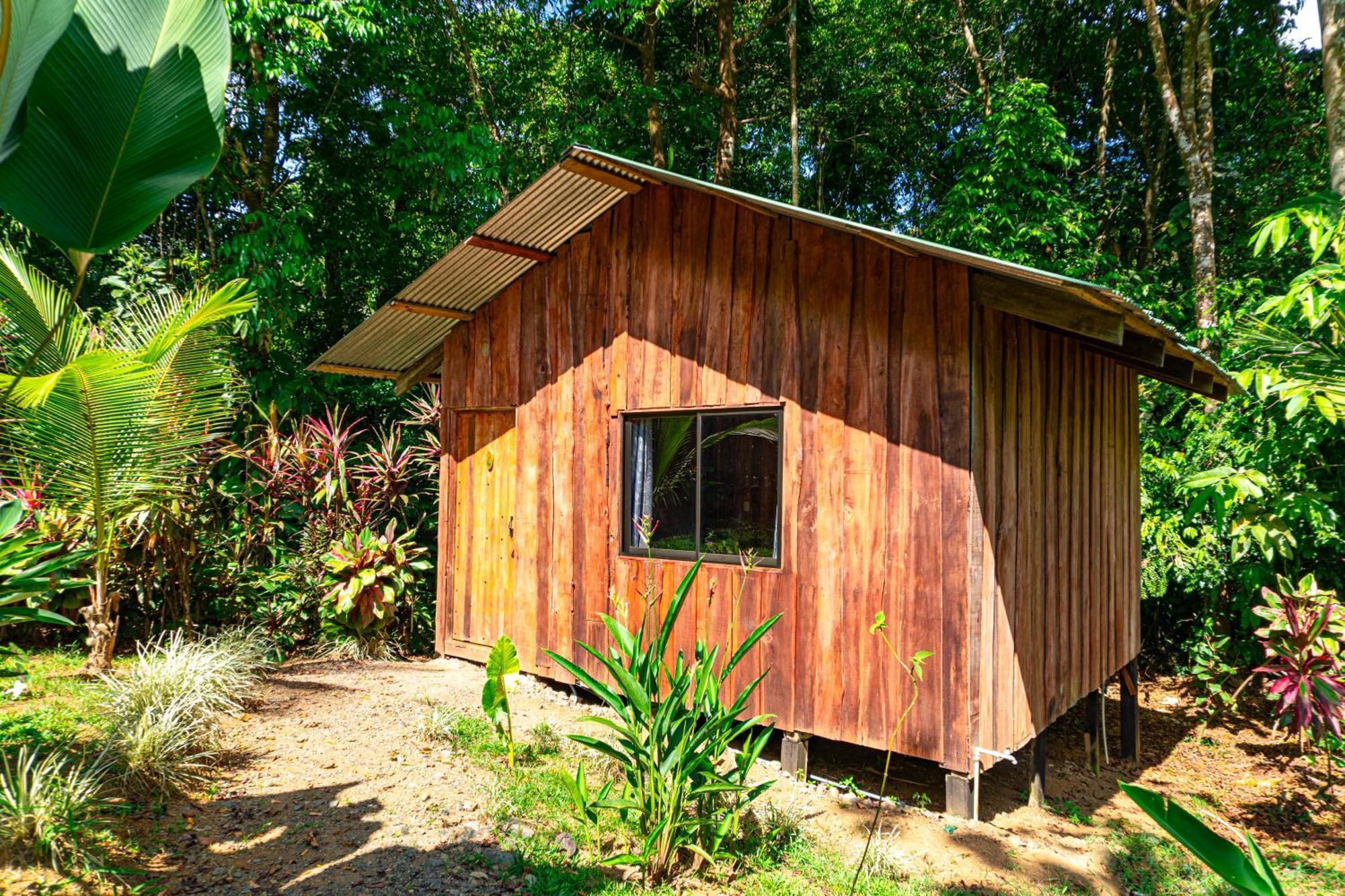 Citronela Lodge Corcovado Drake Bay Ngoại thất bức ảnh