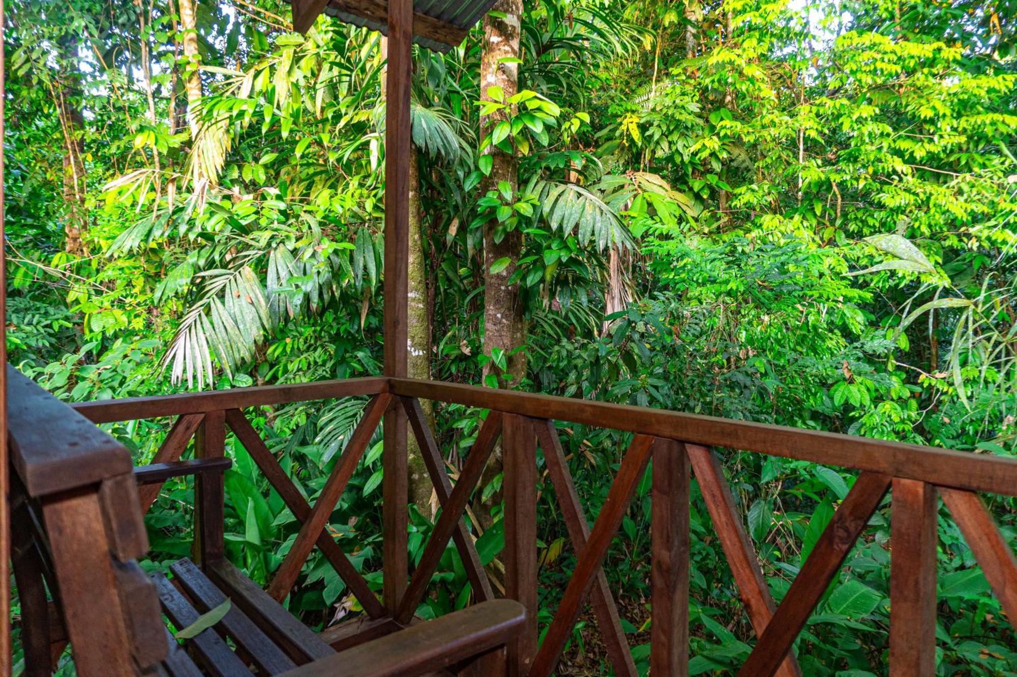 Citronela Lodge Corcovado Drake Bay Ngoại thất bức ảnh