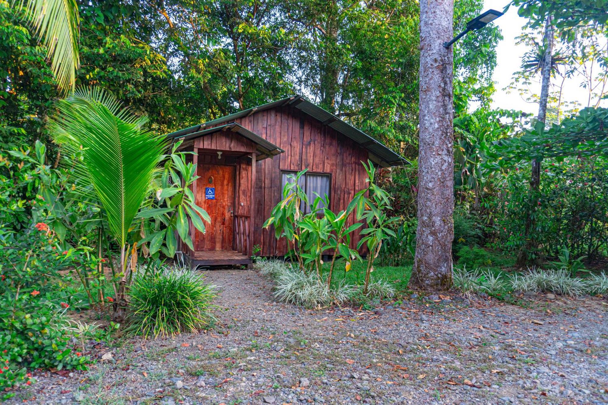 Citronela Lodge Corcovado Drake Bay Ngoại thất bức ảnh