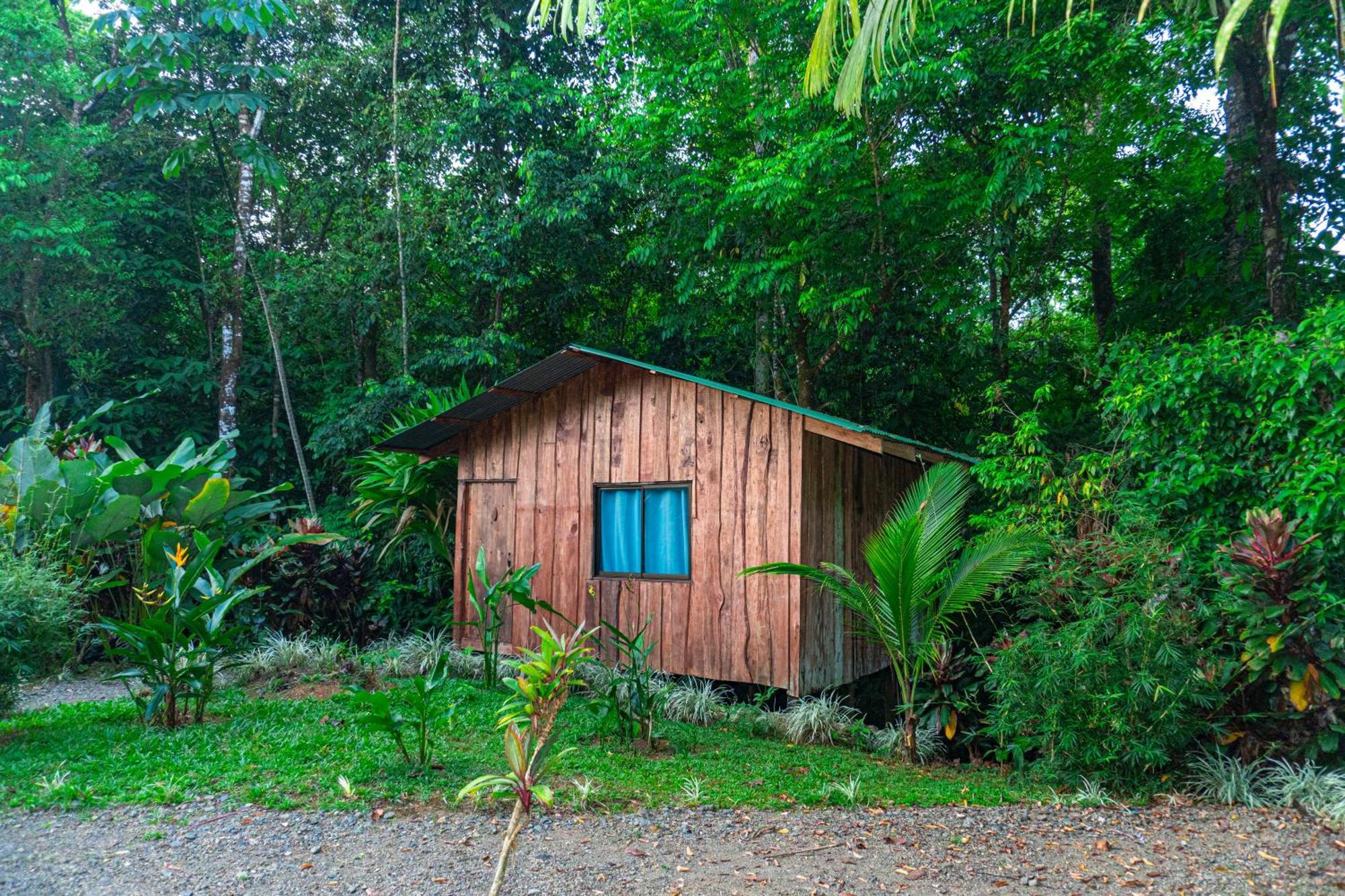 Citronela Lodge Corcovado Drake Bay Ngoại thất bức ảnh