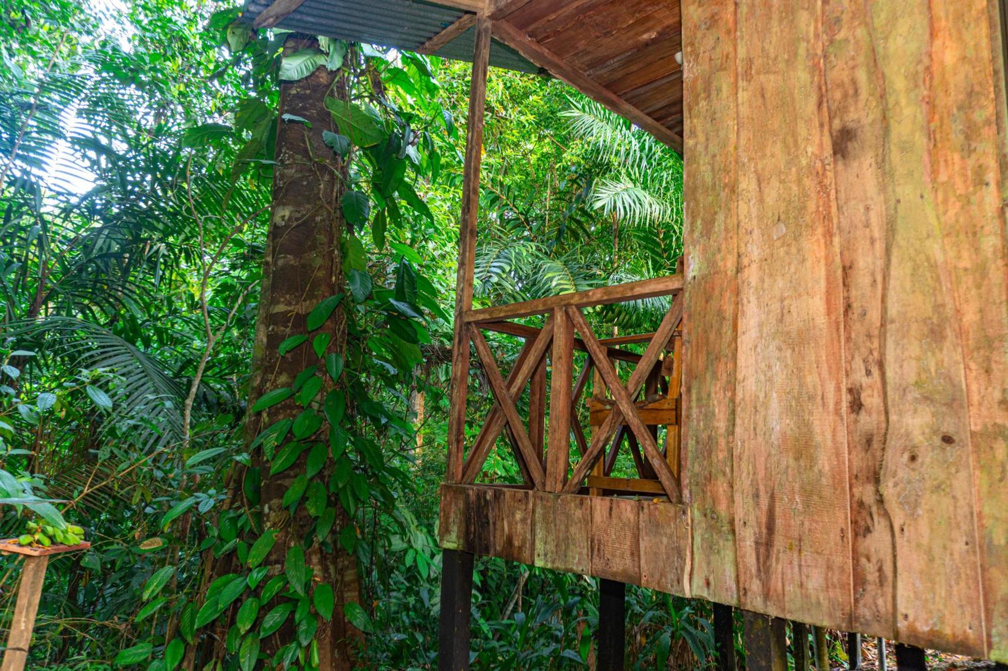 Citronela Lodge Corcovado Drake Bay Ngoại thất bức ảnh