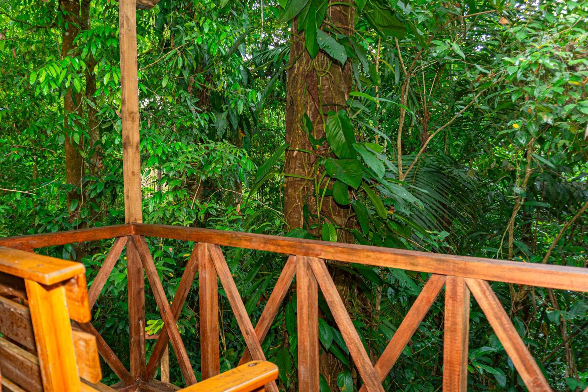 Citronela Lodge Corcovado Drake Bay Ngoại thất bức ảnh