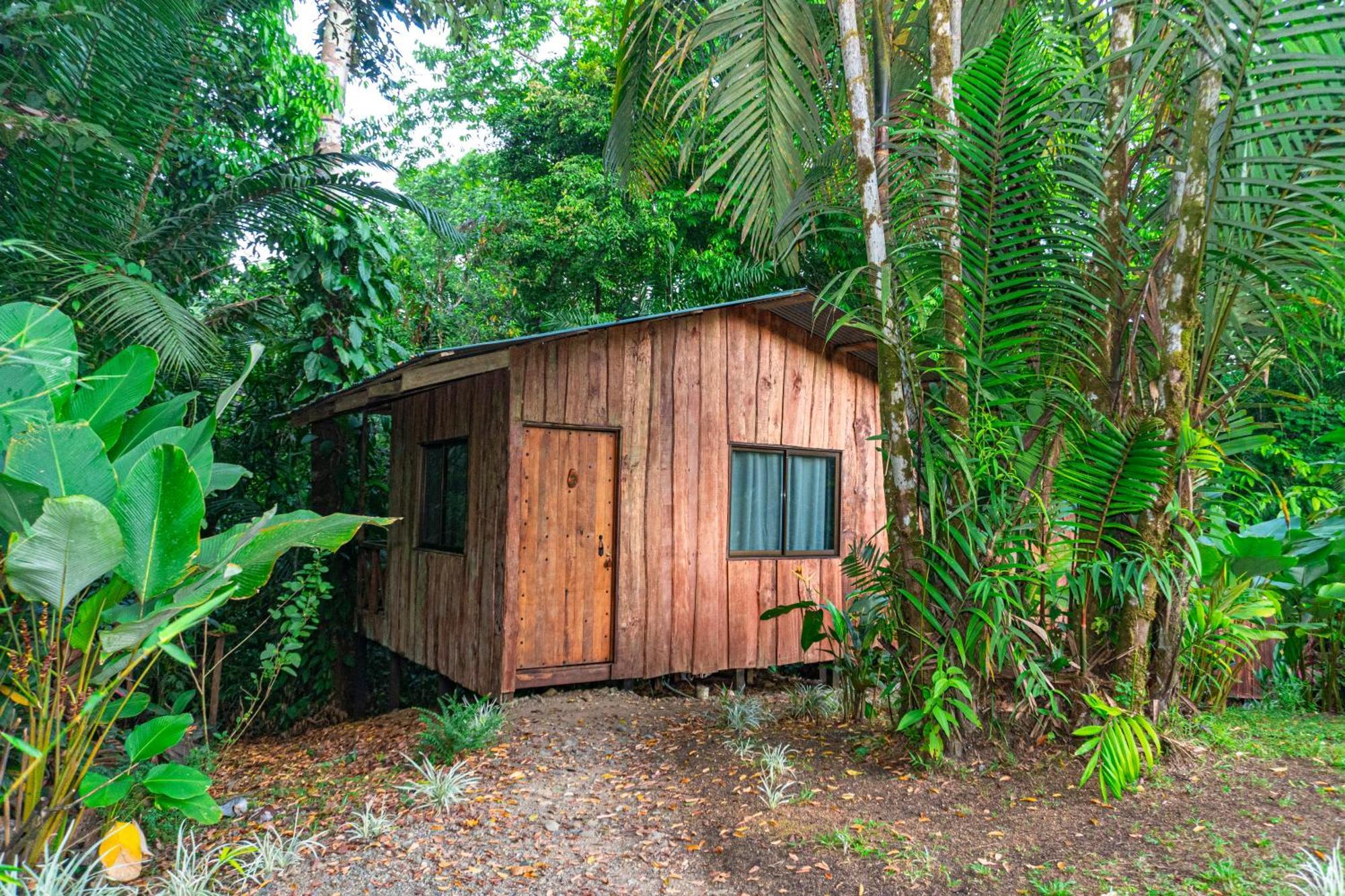 Citronela Lodge Corcovado Drake Bay Ngoại thất bức ảnh