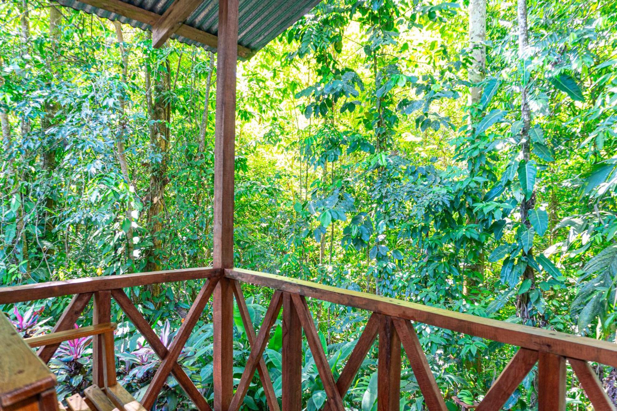 Citronela Lodge Corcovado Drake Bay Ngoại thất bức ảnh
