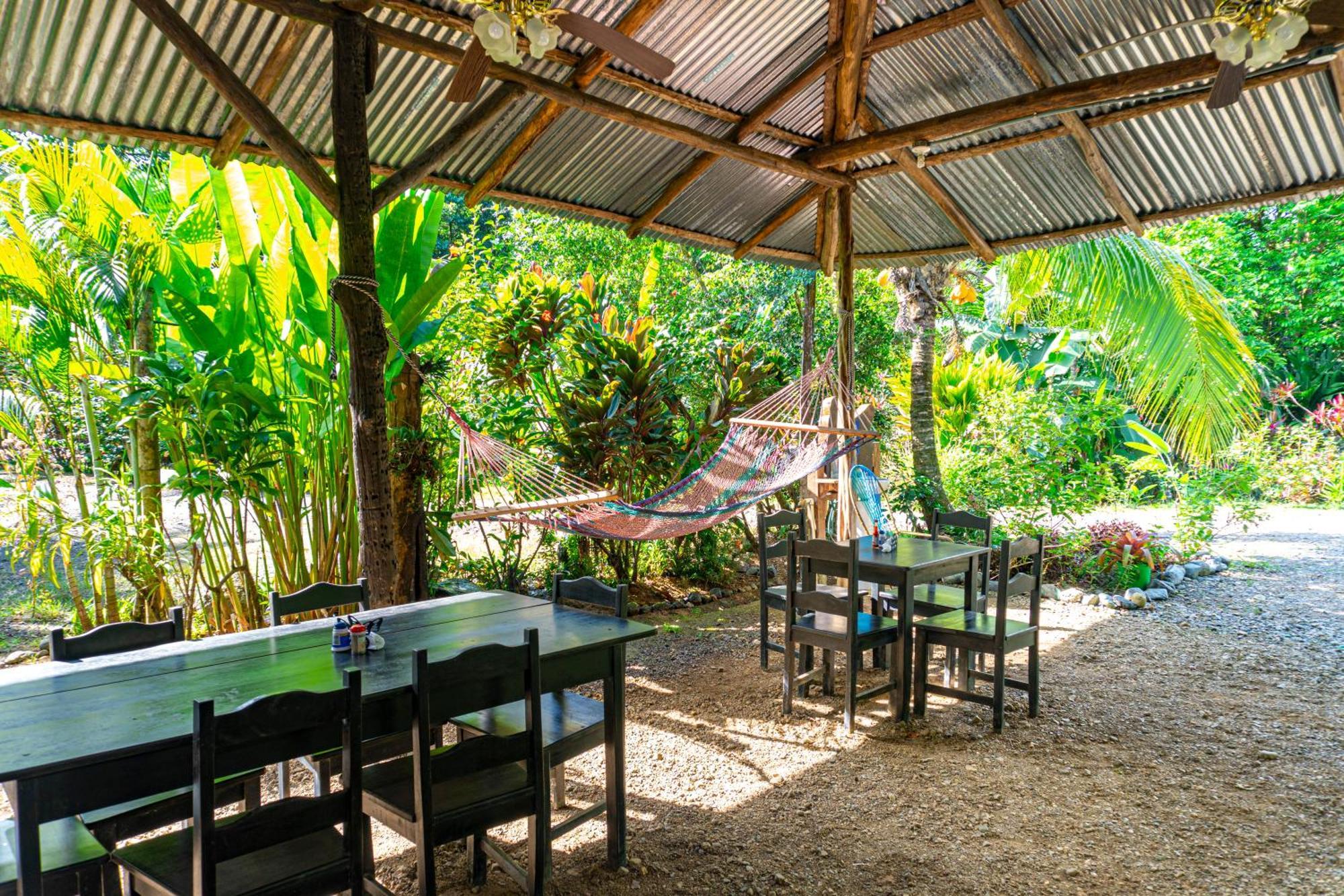 Citronela Lodge Corcovado Drake Bay Ngoại thất bức ảnh
