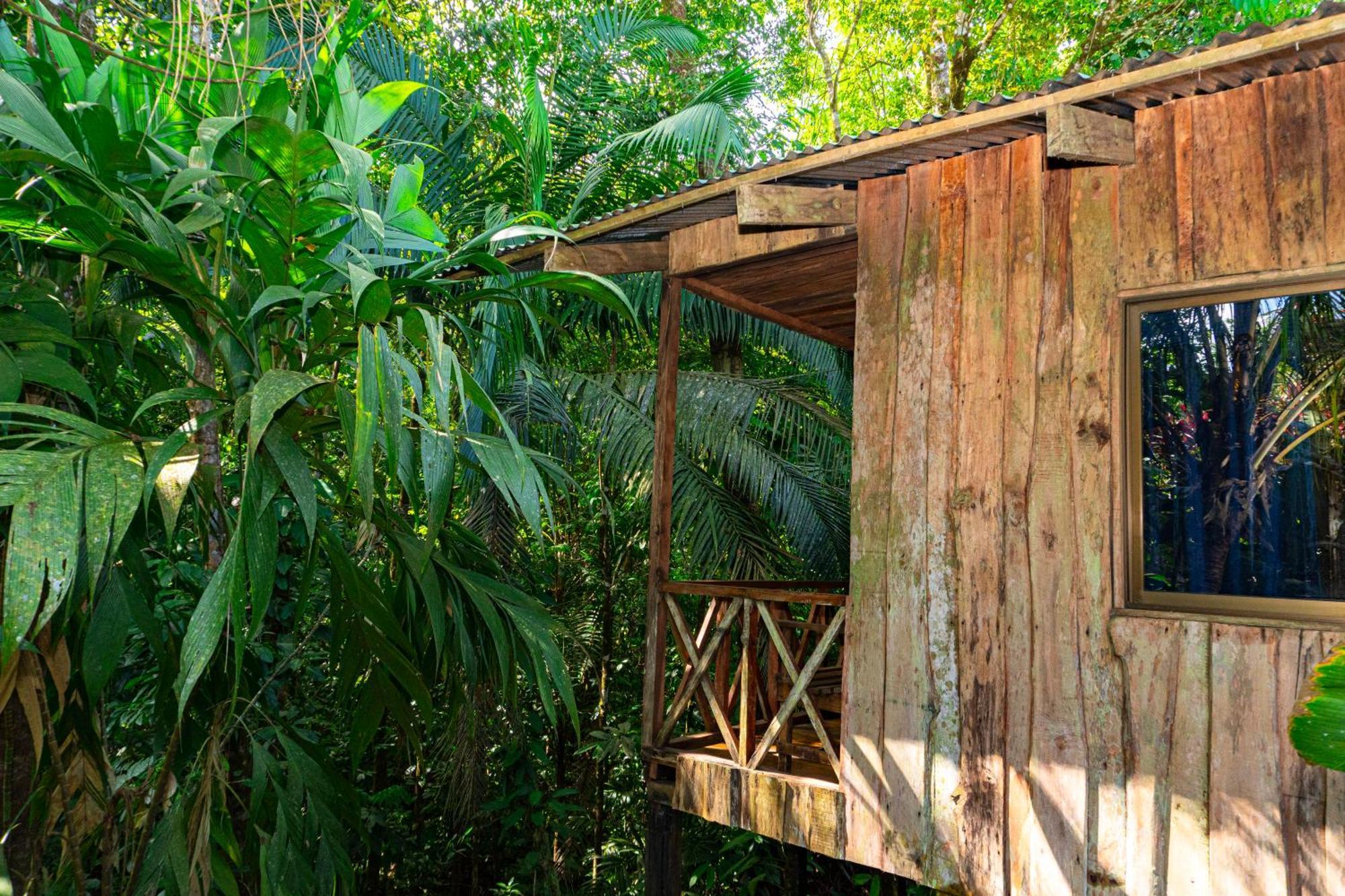Citronela Lodge Corcovado Drake Bay Ngoại thất bức ảnh