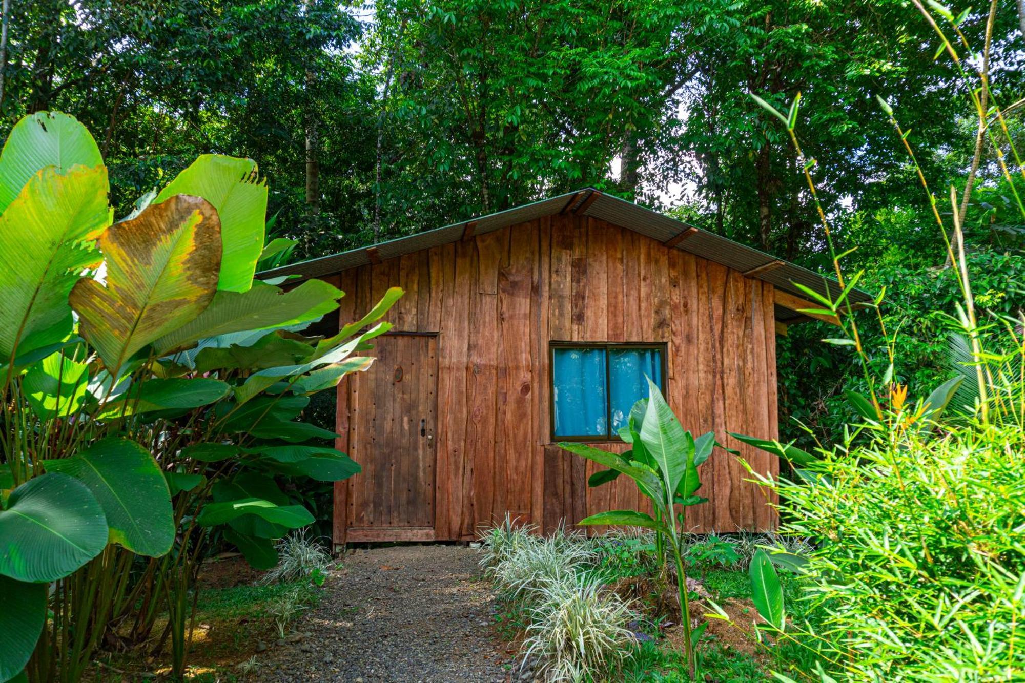 Citronela Lodge Corcovado Drake Bay Ngoại thất bức ảnh