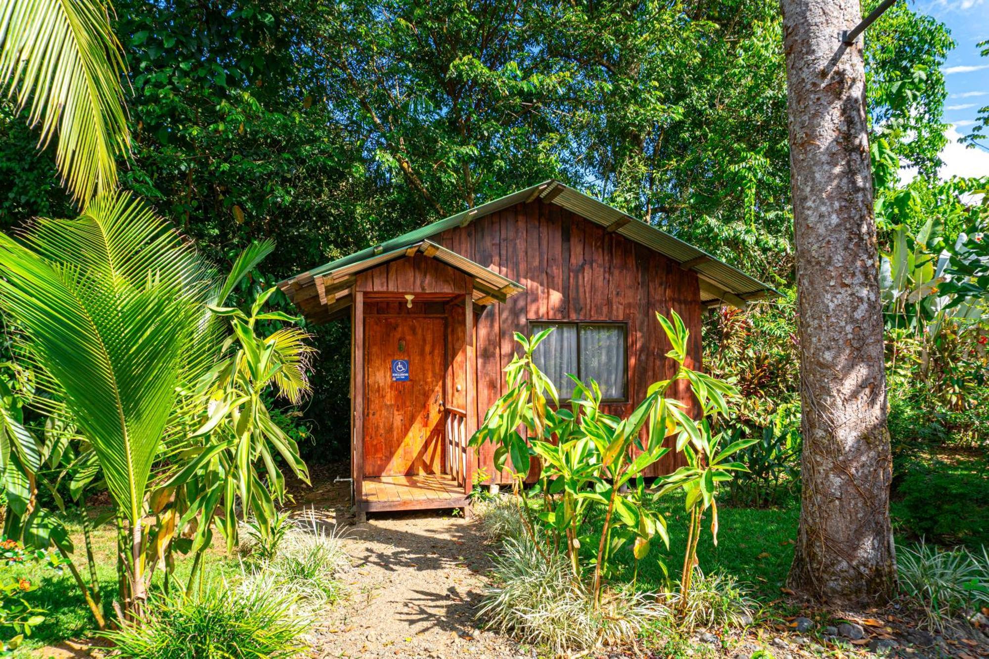 Citronela Lodge Corcovado Drake Bay Ngoại thất bức ảnh