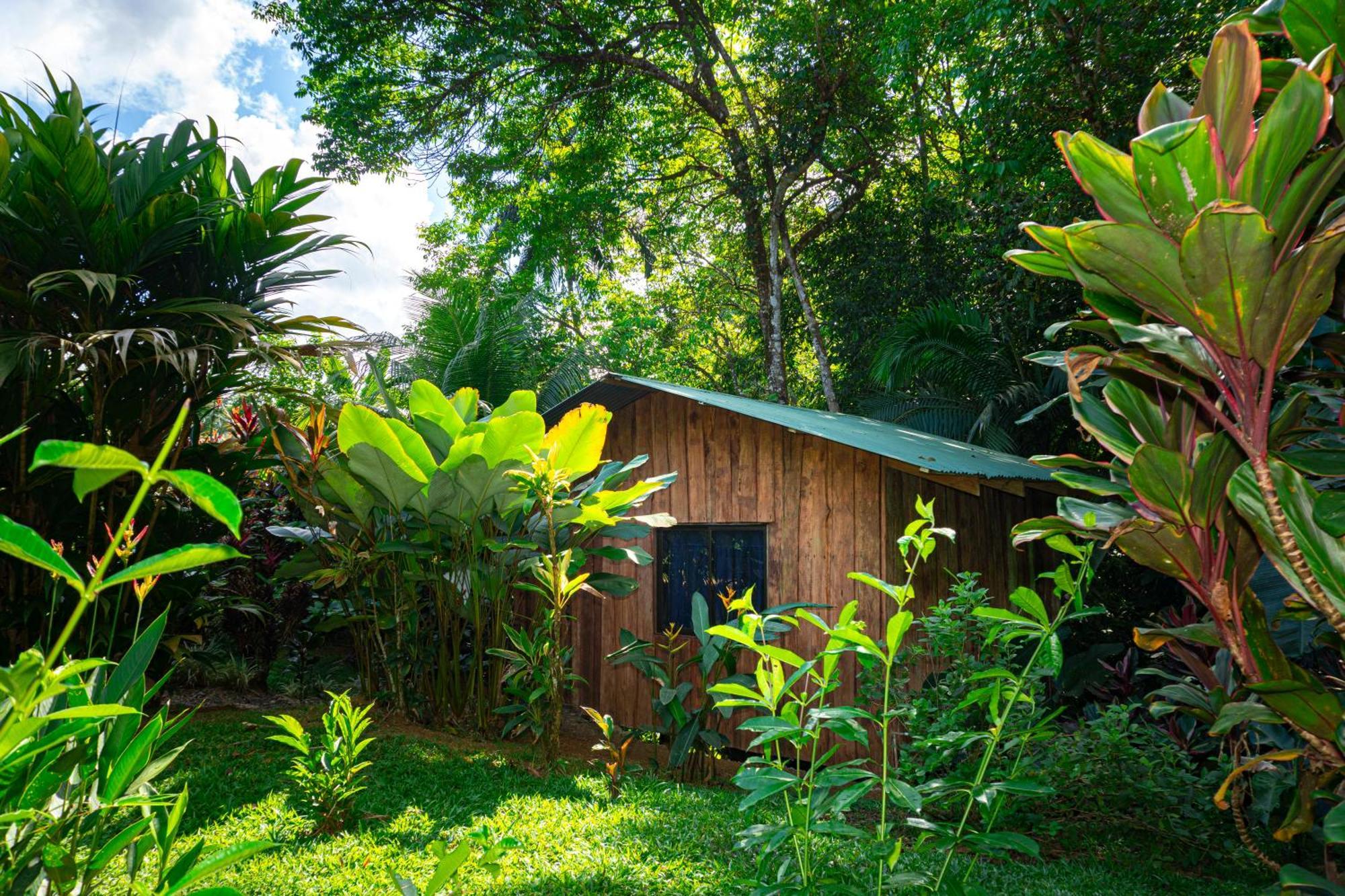 Citronela Lodge Corcovado Drake Bay Ngoại thất bức ảnh