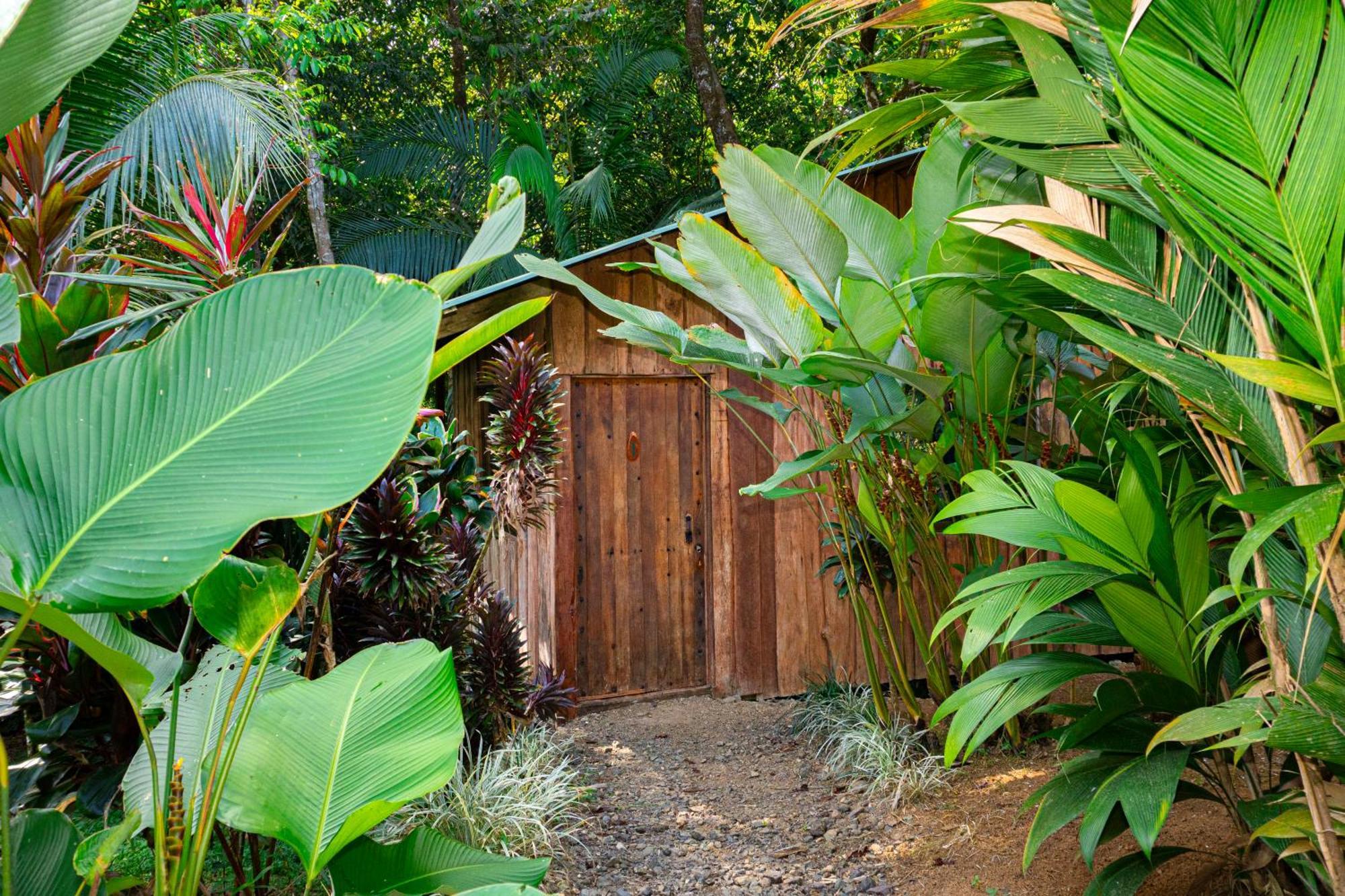 Citronela Lodge Corcovado Drake Bay Ngoại thất bức ảnh