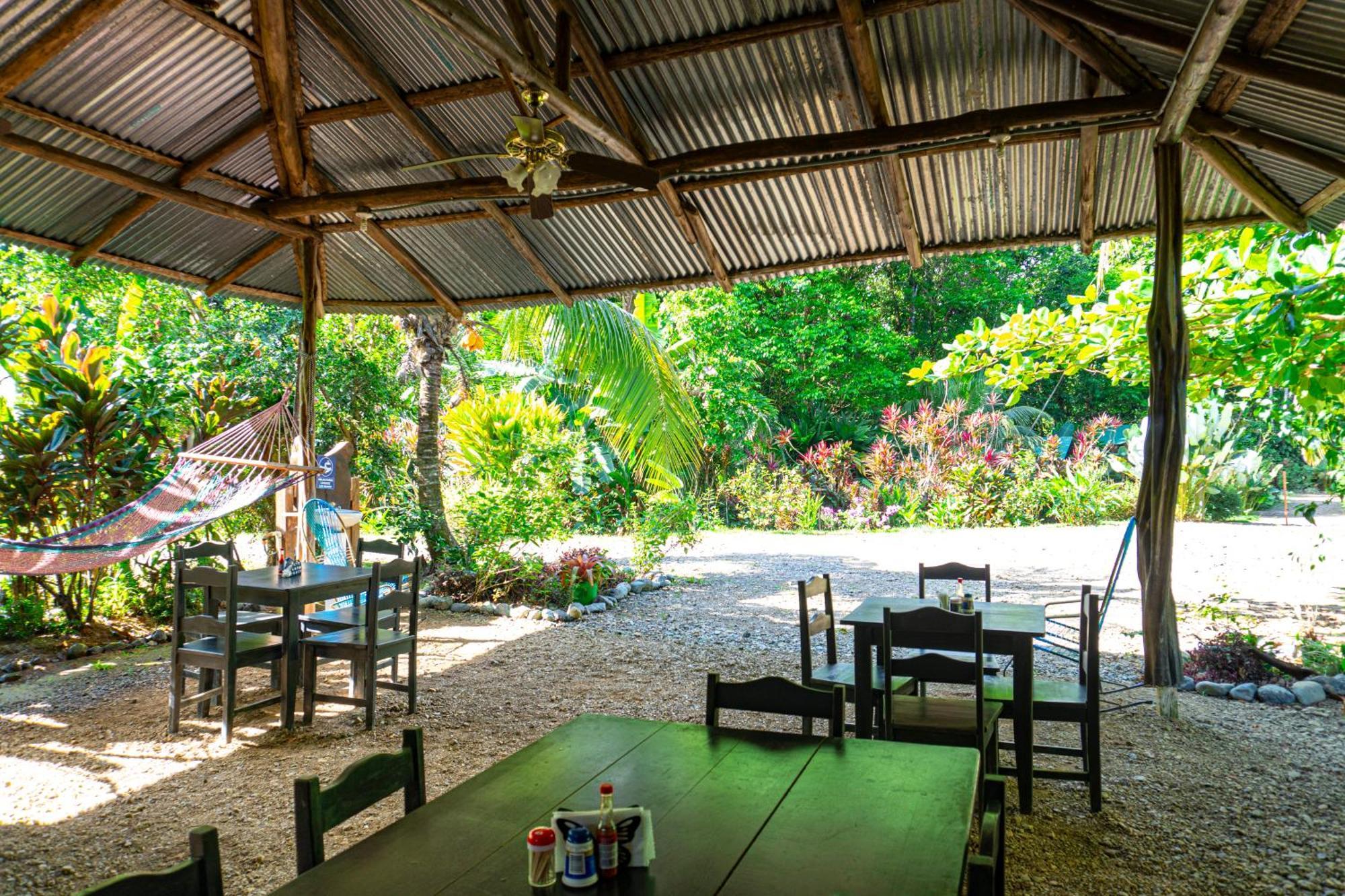 Citronela Lodge Corcovado Drake Bay Ngoại thất bức ảnh