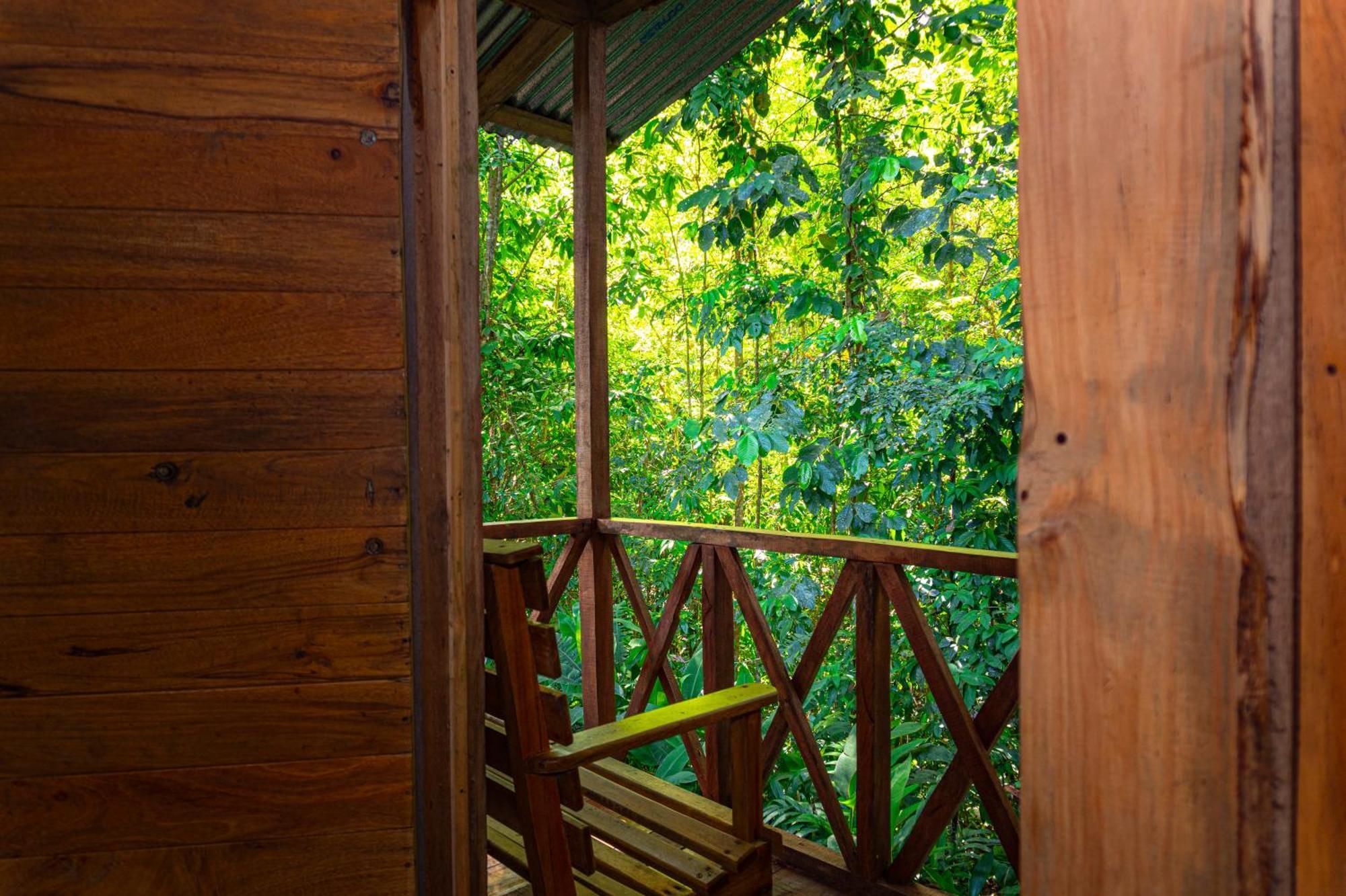 Citronela Lodge Corcovado Drake Bay Ngoại thất bức ảnh