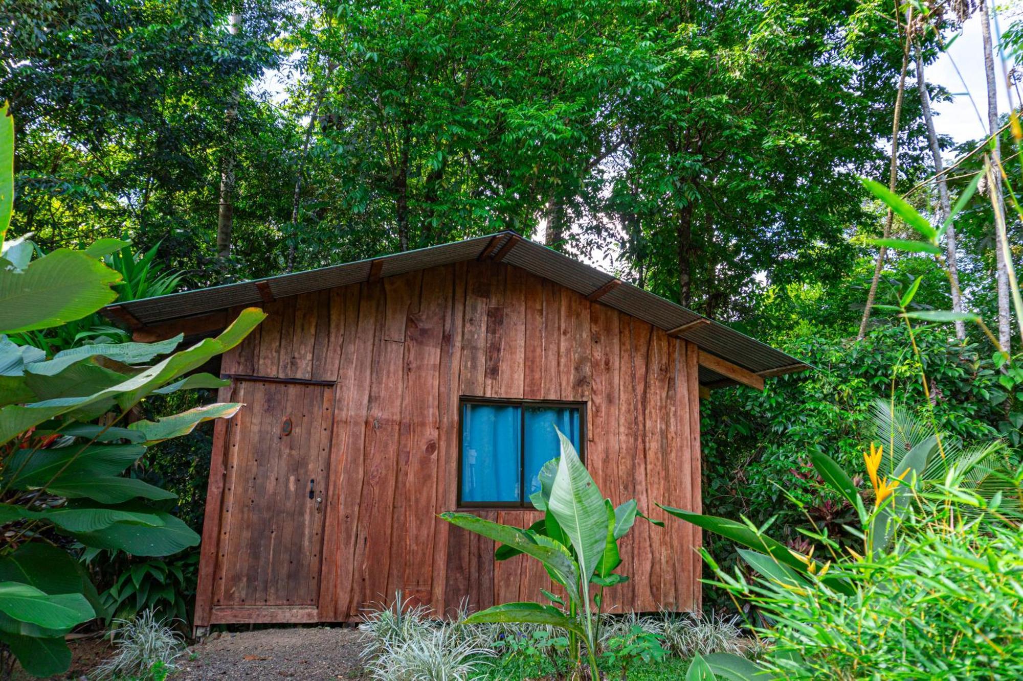 Citronela Lodge Corcovado Drake Bay Ngoại thất bức ảnh