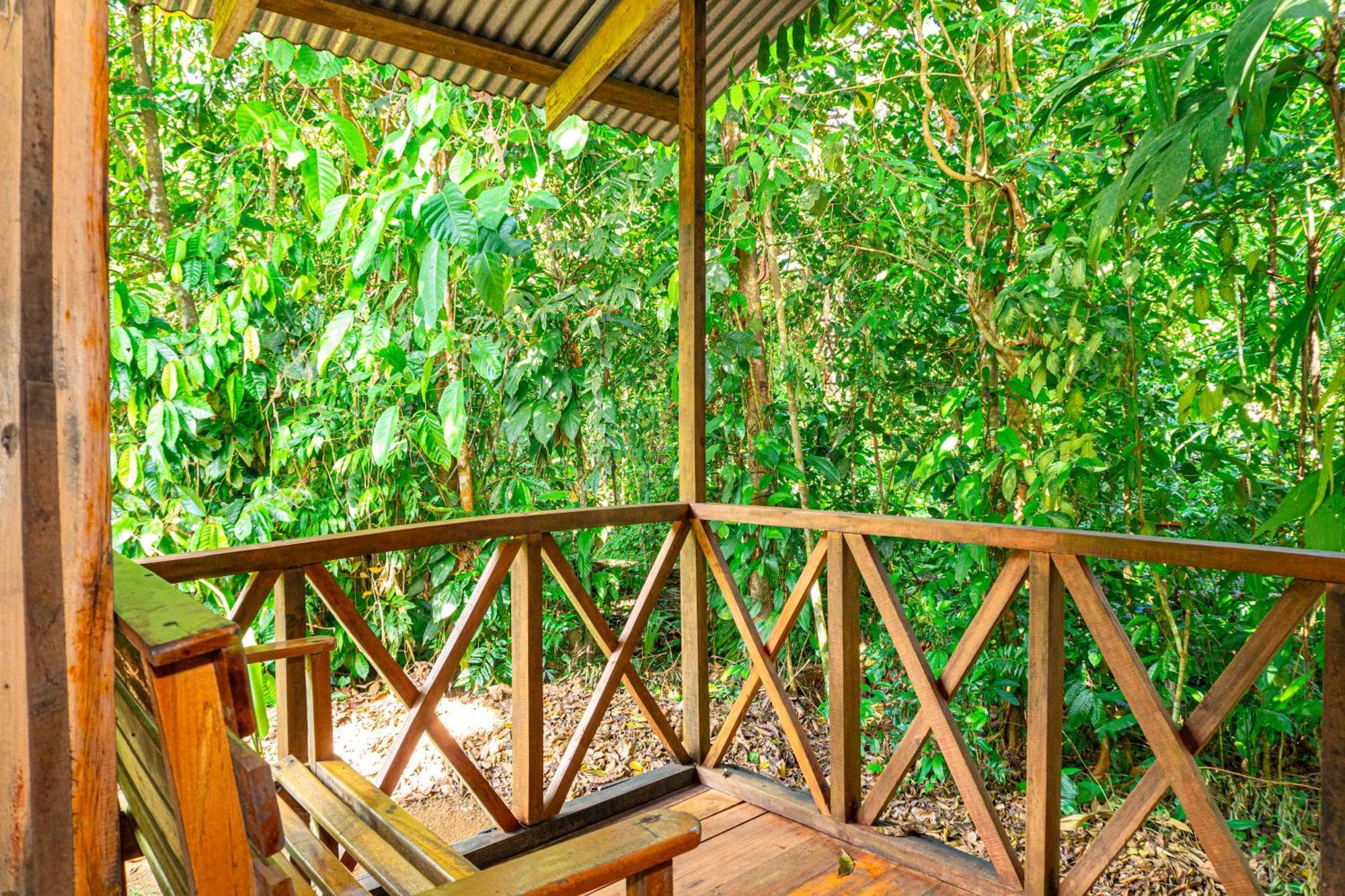 Citronela Lodge Corcovado Drake Bay Ngoại thất bức ảnh